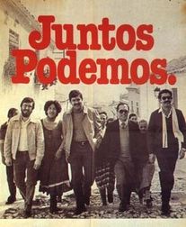 Pájaro en una tormenta